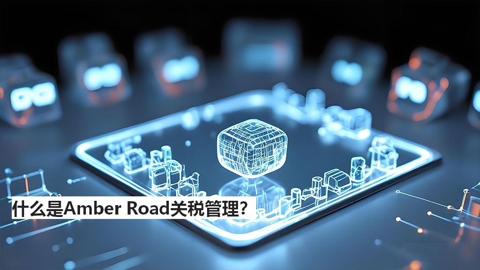 什么是AmberRoad关税管理？