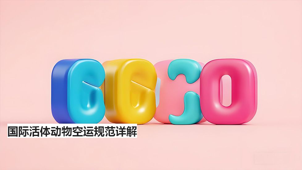 国际活体动物空运规范详解